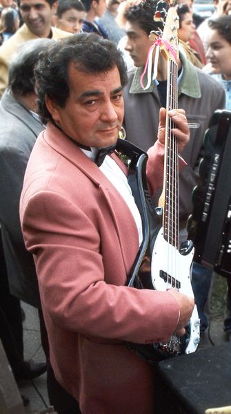 Файл:Romany musician.jpg