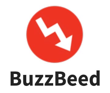 Файл:BuzzBeed.jpg
