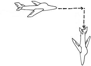 Файл:G in fly.jpg