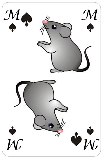 Файл:Myshonok Pik.jpg