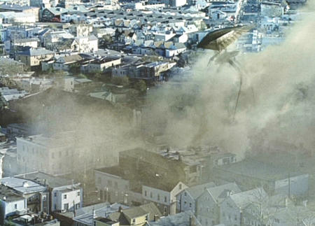 Файл:Bambi terract.jpg