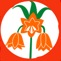 Файл:Лунный цветок.png