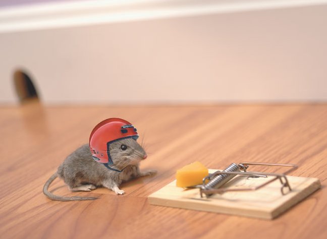 Файл:Mouse helmet.jpg