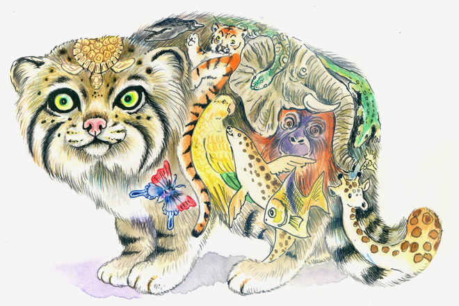 Файл:Zoopark v kise.jpg