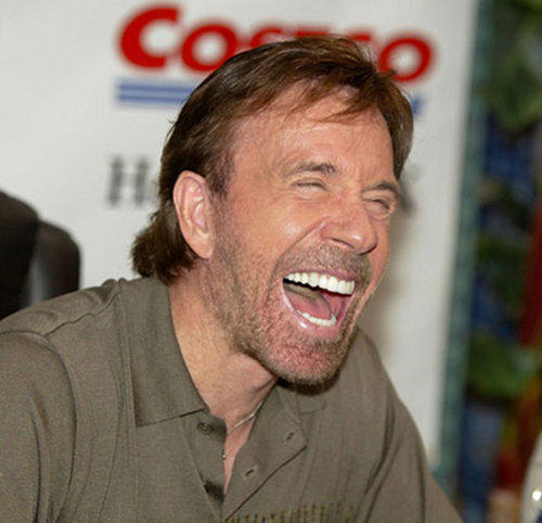 Файл:Chuck-norris-homophobe.jpeg