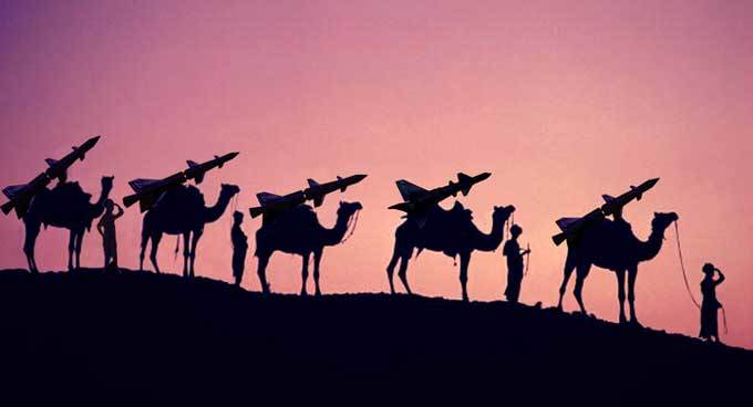 Файл:Верблюды ПВО.jpg