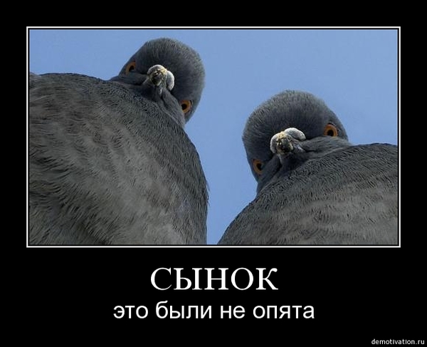 Файл:Demotivator02.jpg