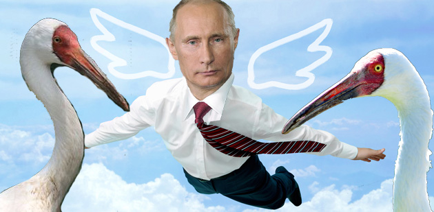 Файл:Putin-cranes.jpg