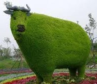 Файл:Iчages (3).jpg