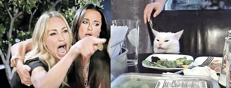 Блондинка кричит на невозмутимого кота