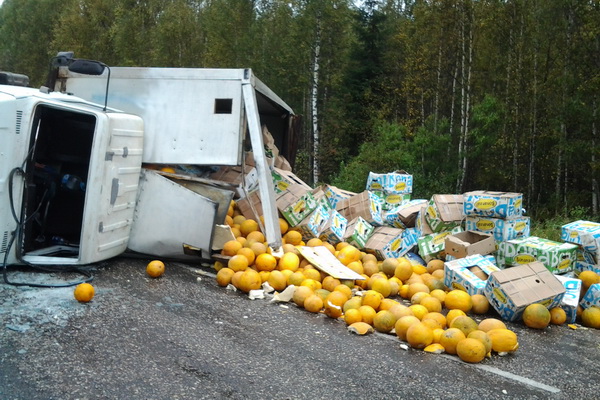 Файл:Fura s dynyami.jpg