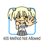 Файл:Error 405.jpg