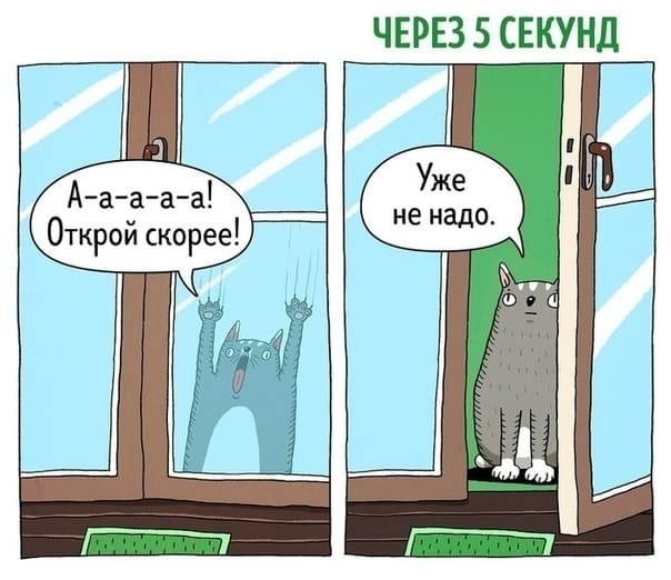 Файл:Которезультат.jpg