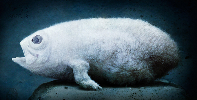 Файл:Ne kilka.jpeg