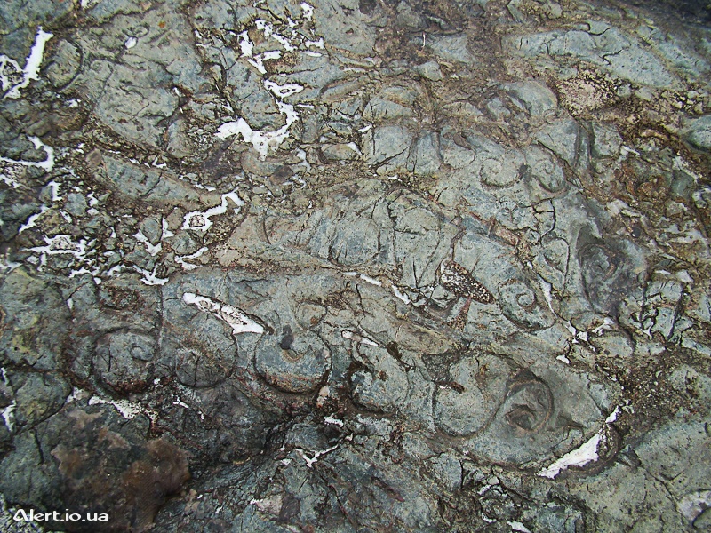 Файл:Письмена на камне.jpg