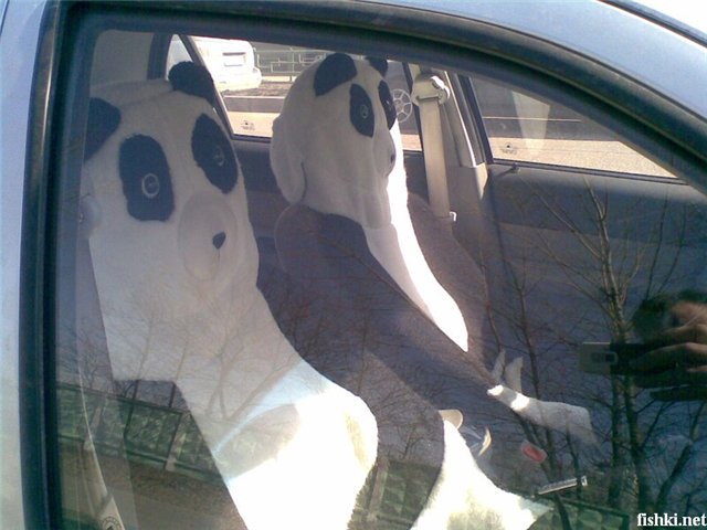 Файл:Панда за рулем.jpg