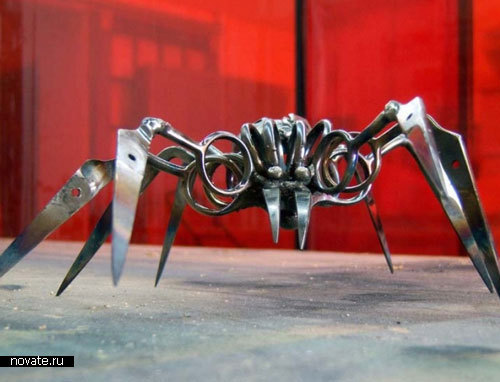 Файл:Scissor spider.jpg