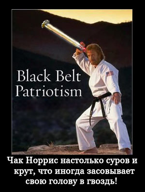 Файл:Гвозь и Чак Норрис.jpg