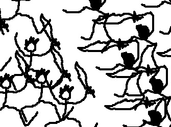 Файл:Olban war.jpg