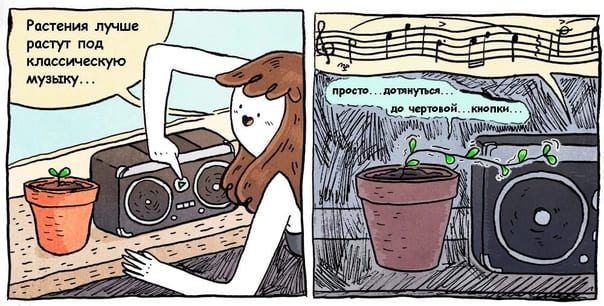 Файл:Растения-и-музыка.jpg