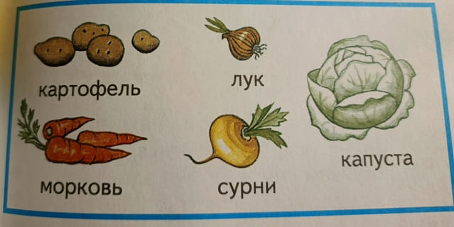 Файл:Овощи у шурышкарцев.jpg