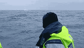 Файл:Seb iceberg.gif