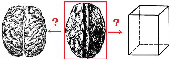 Файл:Salzburg Cube.jpg