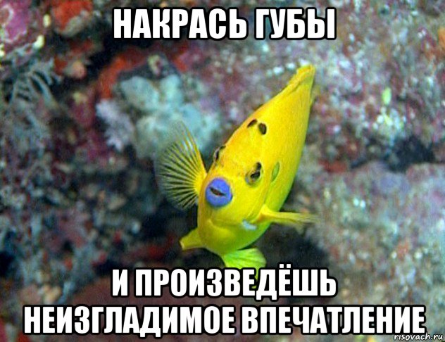 Файл:Mem rybka1.jpg