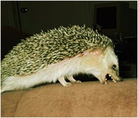 Файл:J290659 1297176243.jpg