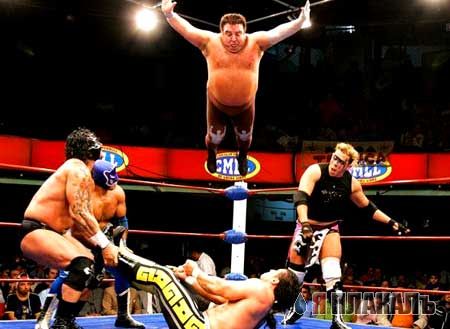 Файл:Wresling fatflies.jpg