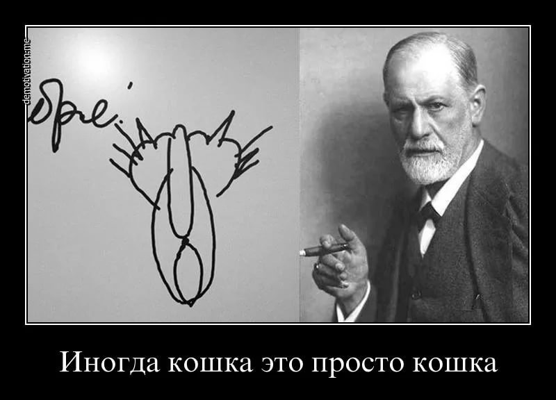 Файл:Prosto koshka.jpg