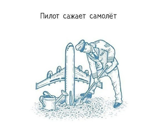 Файл:Посадка-самолёта.jpg