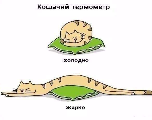 Файл:Котометр.jpg