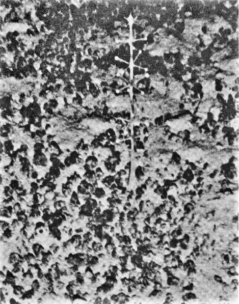 Файл:Eltanin Antenna.jpg