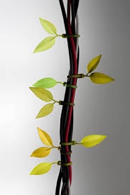 Файл:Iчбages (3).jpg