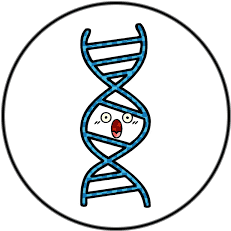 Файл:ДНК.png