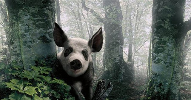 Файл:Украинская панда.jpg