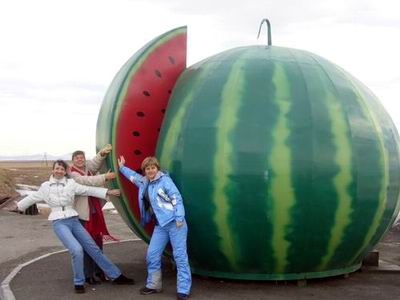 Файл:Arbuz1.jpg