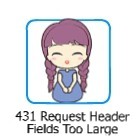 Файл:Error 431.jpg