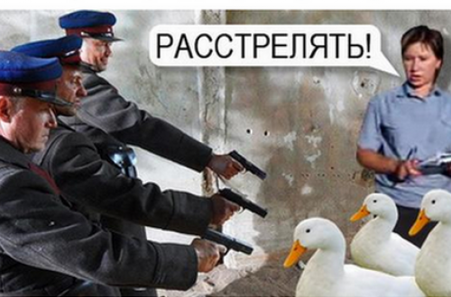 Файл:Расстрел-гусей.png