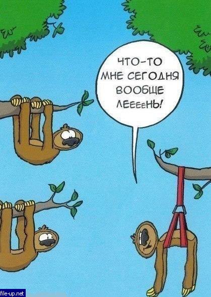 Файл:Ему лень.jpg