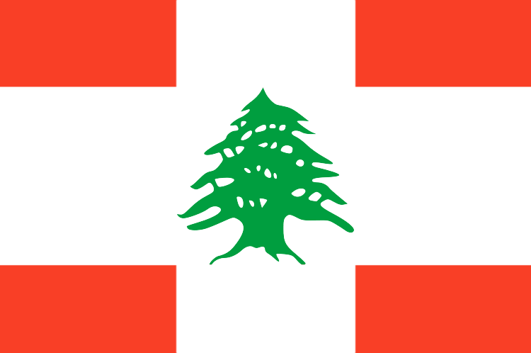 Файл:Флаг Хезболлы.png