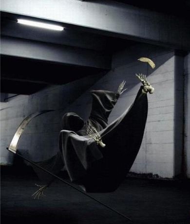 Файл:Полезная кожура.jpg