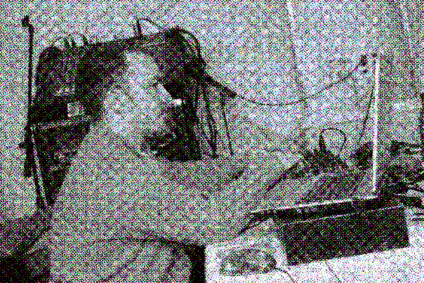 Файл:II War Aleksei Petrovoch.jpg