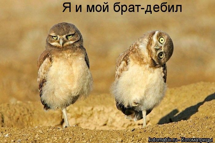 Файл:1284248959 w.jpg