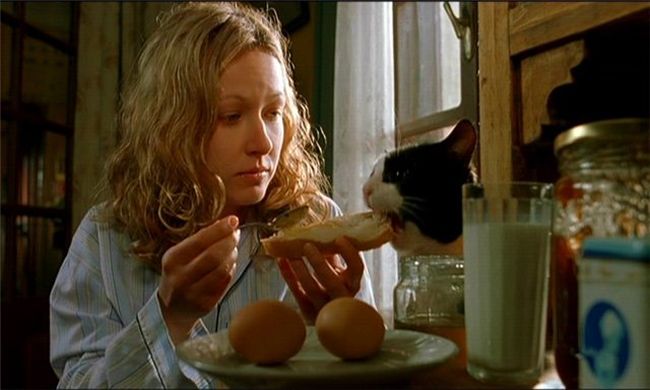 Файл:Кошка (Жизнь как чудо).jpg