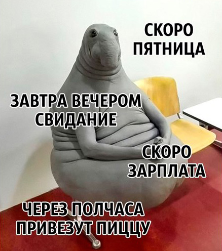 Файл:Zhdun plus.jpg