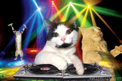 Файл:Dj-cat.gif