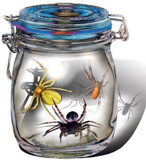 Файл:Три паука в банке.jpg