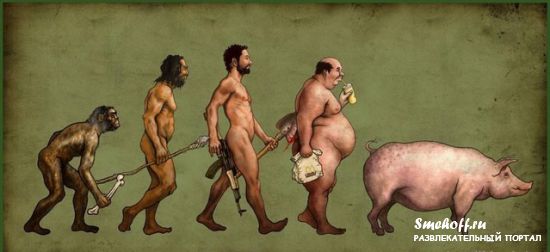 Файл:Evolution02.jpg